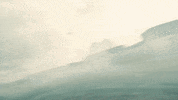 Dtf GIF by Digga D