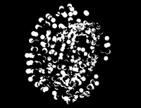 Art Loop GIF by Delta__Li