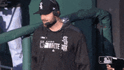 Regular Season Sport GIF by MLB