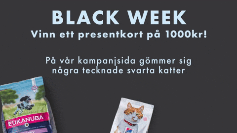 Vetzoomailbf GIF by Vetzoo