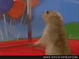 ground Hogs GIF