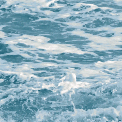 LifeCoachFrankfurt ocean sea surf quote GIF