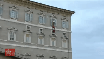 Pope Francis Addresses Socially Distanced Crowd in St. Peter's Square as Restrictions Ease
