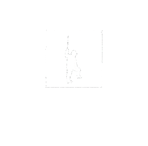 Film Shooting Sticker by NEVERESTGROUP