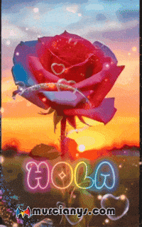 Solo Quiero Para Mi GIF by Murcianys LLC