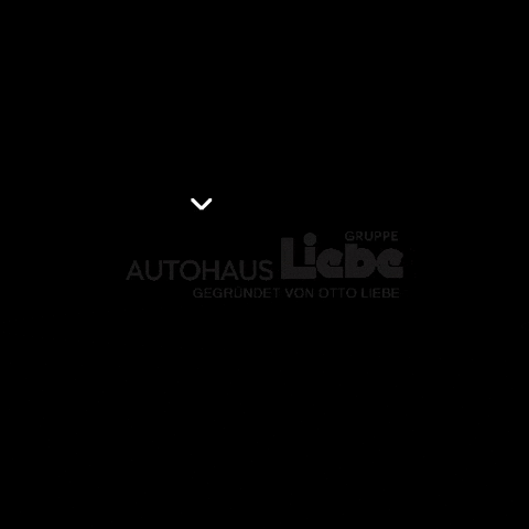 skoda_autohaus_liebe giphygifmaker giphyattribution auto skoda GIF