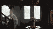 music video dance GIF by tomcjbrown