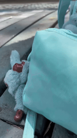 marycardona9753cbf4ec9a46b69bf9468429386ffb giphyupload GIF