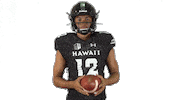 College Football Sticker by Hawaii Athletics