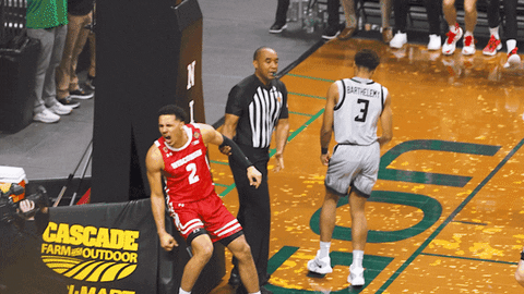 Lets Go Celebration GIF by Wisconsin Badgers