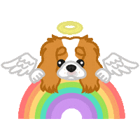 Rainbow Angel Sticker