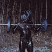 doopiidoo gym wolf forest powerlifting GIF