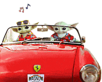 Driving Star Wars Sticker