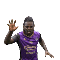 Mazatlan Loba Sticker by Mazatlán F.C.