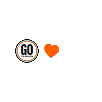 GOCarwash car wash clean car gocarwash go car wash Sticker