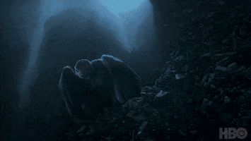 Dafne Keen No GIF by His Dark Materials