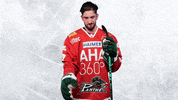 Hockey Del GIF by Augsburger Panther Eishockey GmbH
