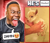 Pack It Up Its Over GIF