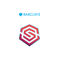 Womens Super League Football Sticker by Barclays WSL