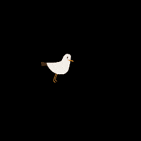 Seagull Stanley GIF by The British Craft House