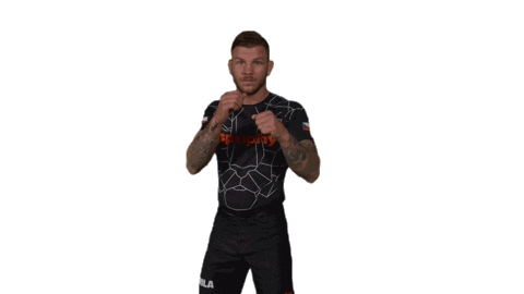 Mma Fighter Sticker by Rehasport