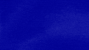 Bury Me Puns GIF by Jeopardy!