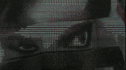GIF by Leo Pyrata