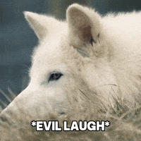 Dog Scheming GIF by Colossal