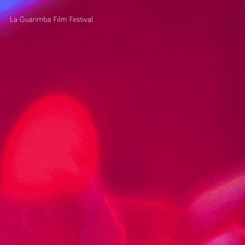 I Hate You Fighting GIF by La Guarimba Film Festival