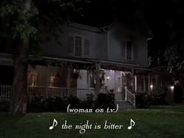 season 5 netflix GIF by Gilmore Girls 