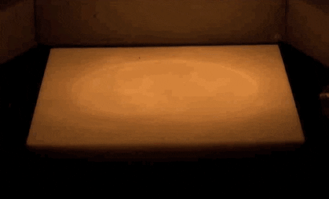 tao GIF