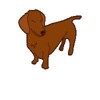 Wiener Dog Sticker