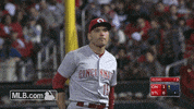joey claps GIF by MLB