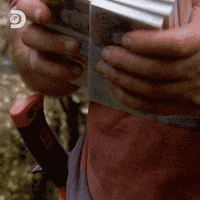 Bear Grylls Win GIF by Discovery Europe