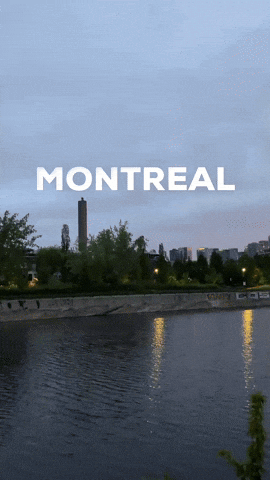 Montreal GIF by Casol