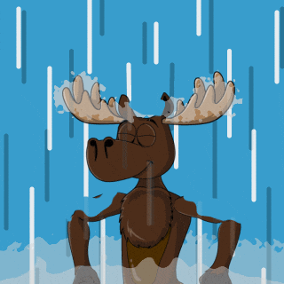 DoYouMoose training train waiting wait GIF