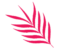 Vitamin C Skincare Sticker by Moringa O2