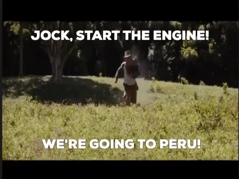benparnham giphygifmaker GIF