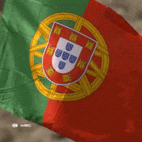 Portugal Flag GIF by FIA World Rally Championship