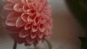 GIF by RiTE Media