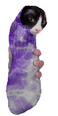 ohjay_ cat good thumbs up thumbsup Sticker