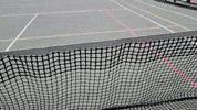 Pickleball Satisfying GIF
