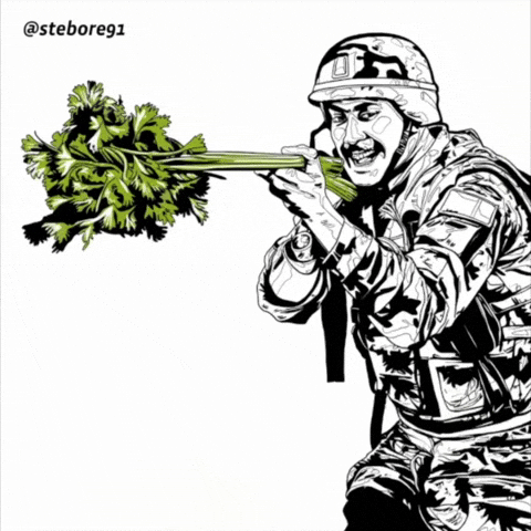 Marine Corps Birthday Peace GIF