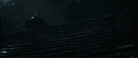 run wow GIF by Jurassic World