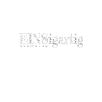 EINSigartig jump freude webdesign werbeagentur Sticker