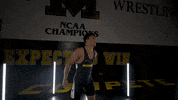 Ncaa Hawks GIF by Mizzou Athletics