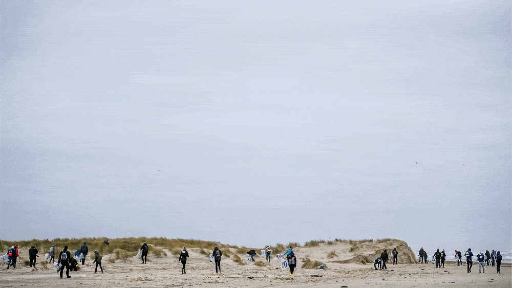 trouw terschelling GIF