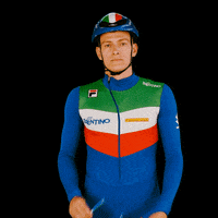 federazioneghiaccio ice wintersport sportinvernali speedskating GIF