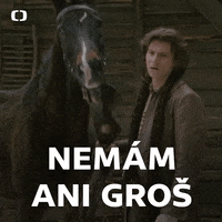 Ceska Televize GIF