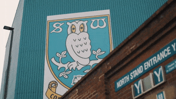 Stadium S6 GIF by Sheffield Wednesday Football Club